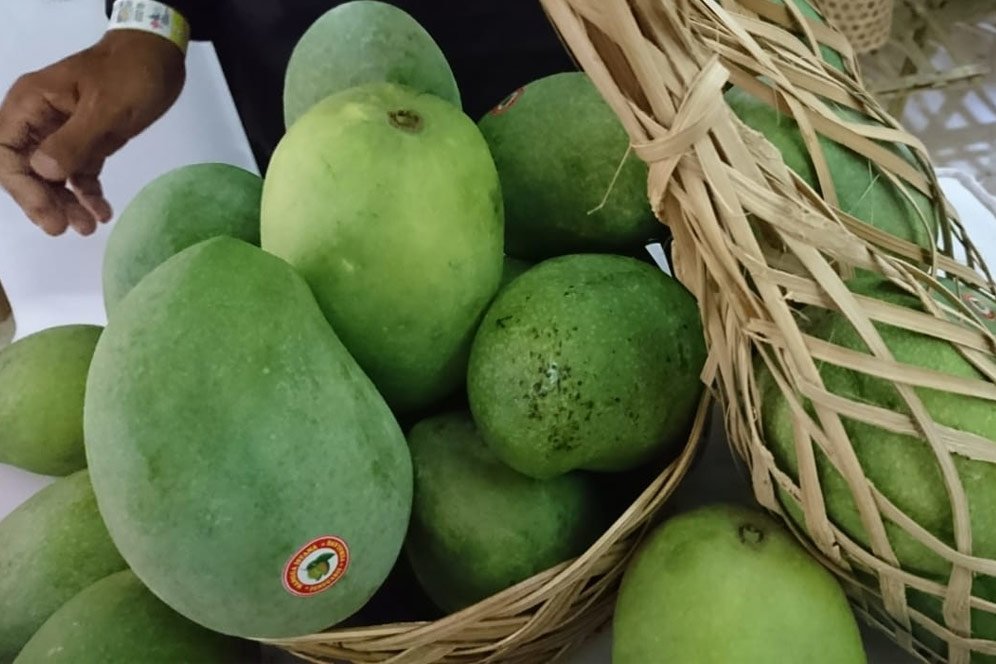 Manfaat Mangga, Cegah Penuaan Dini dan Membantu Turunkan Berat Badan