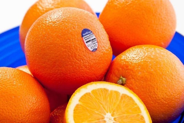Buah jeruk banyak mengandung vitamin c tanggapan yang tepat adalah