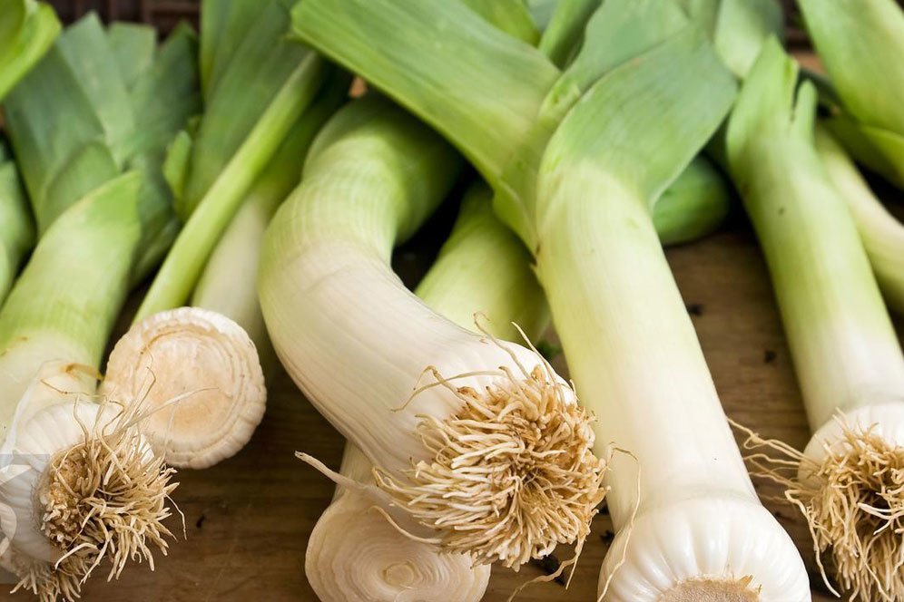 Deretan Manfaat Daun Bawang untuk Kesehatan Tubuh Deretan Manfaat Daun Bawang untuk Kesehatan Tubuh