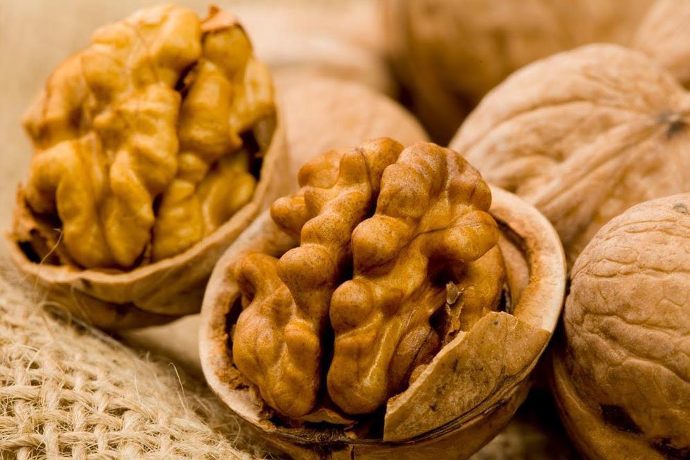 Deretan Manfaat Kacang Kenari untuk Kesehatan dan Kecantikan