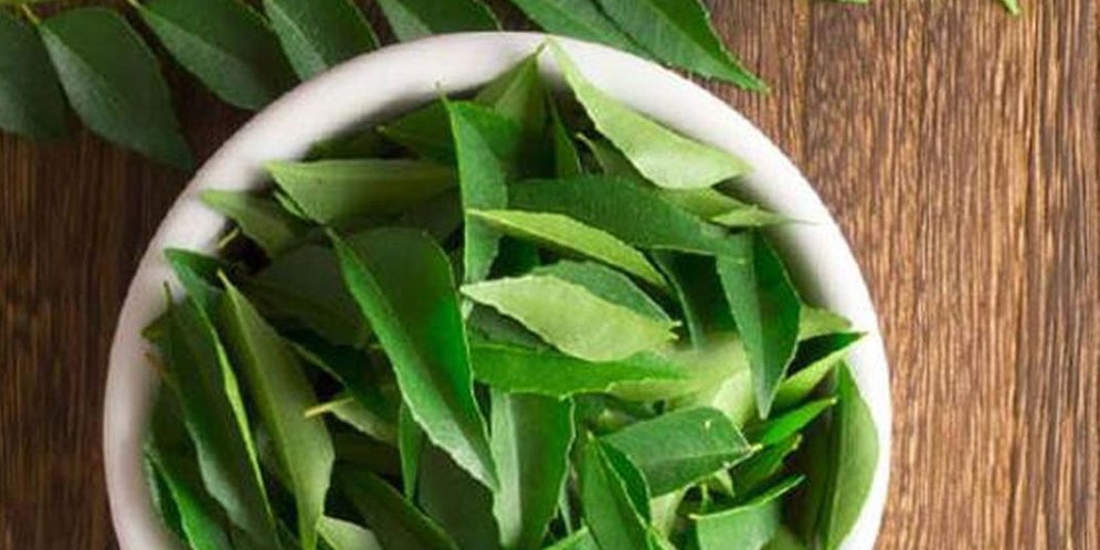 Pahami Manfaat dan Efek Samping Daun Salam bagi Kesehatan Pahami Manfaat dan Efek Samping Daun Salam bagi Kesehatan