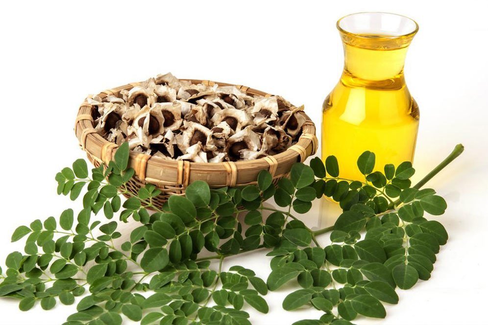 Deretan Manfaat Biji Kelor untuk Kesehatan, Punya Banyak Nutrisi Deretan Manfaat Biji Kelor untuk Kesehatan, Punya Banyak Nutrisi