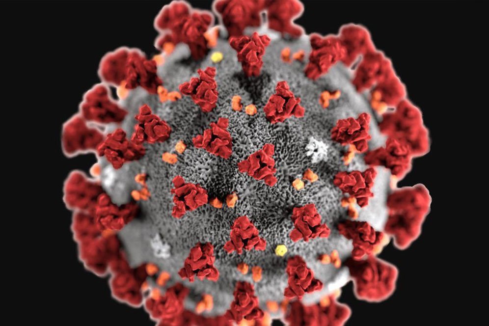 Ini Penjelasan WHO Terkait Beredarnya Sejumlah Mitos Terkait Virus Corona Covid19