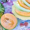 Deretan Manfaat Melon untuk Tubuh, Bisa Jaga Sistem Pencernaan Deretan Manfaat Melon untuk Tubuh, Bisa Jaga Sistem Pencernaan