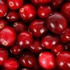 Manfaat Cranberry untuk Tubuh, Sehatkan Sistem Pencernaan Manfaat Cranberry untuk Tubuh, Sehatkan Sistem Pencernaan