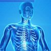 Penting, Pahami Cara-Cara Turunkan Risiko Osteoporosis Penting, Pahami Cara-Cara Turunkan Risiko Osteoporosis
