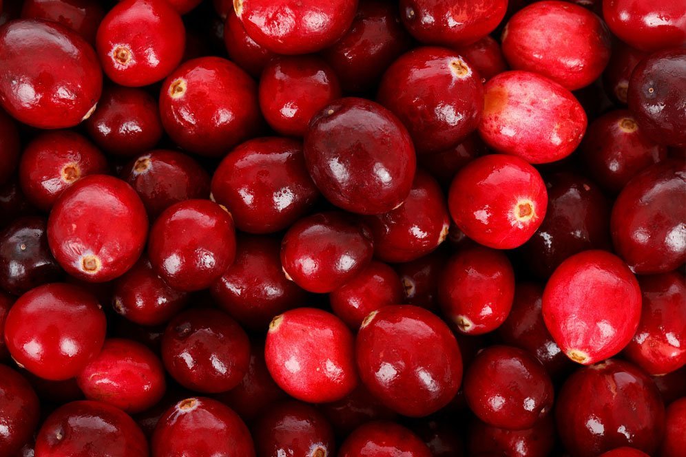 Manfaat Cranberry untuk Tubuh, Sehatkan Sistem Pencernaan