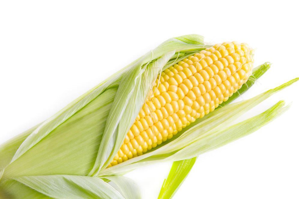 Mengandung Karbohidrat, Pahami 6 Manfaat Baik Jagung Bagi Tubuh
