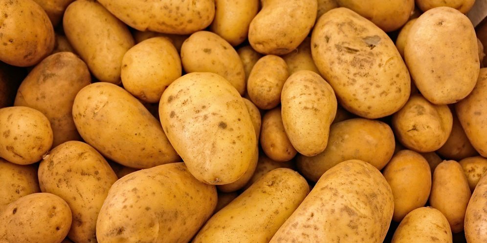 Manfaat kentang