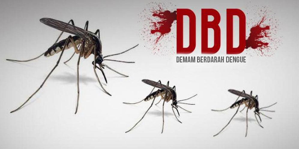 Wilayah Tangsel dikabarkan rawan penyakit DBD