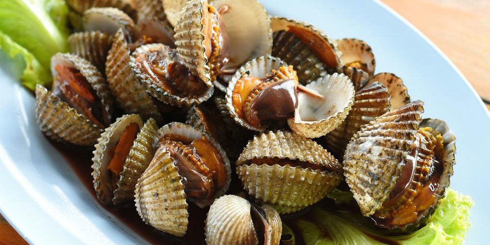 Ide Masakan Berbahan Dasar Kerang Pastinya Menggugah Selera Bola Net Ide Masakan Berbahan Dasar Kerang Pastinya Menggugah Selera Bola Net