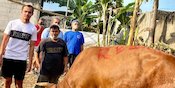 Total 3 Sapi, 2 Bintang Persija Berqurban di Idul Adha Total 3 Sapi, 2 Bintang Persija Berqurban di Idul Adha