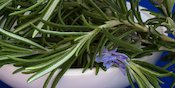 6 Manfaat Rosemary Bagi Kesehatan yang Wajib untuk Diketahui
