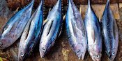 Deretan Resep Masakan Berbahan Ikan Tuna, Enak dan Bergizi