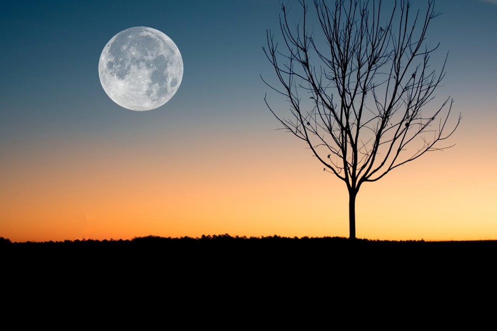 Kata-kata Mutiara Tentang Bulan, Indah dan Menerangi saat Gelap