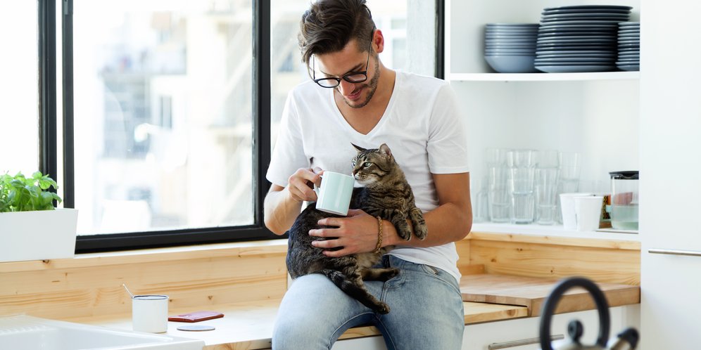 10 Alasan Kenapa Punya Kucing Bikin Hidup Jadi Lebih Hidup - Bola.net