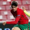 Hasil Pertandingan Portugal vs Andorra: Skor 7-0 Hasil Pertandingan Portugal vs Andorra: Skor 7-0