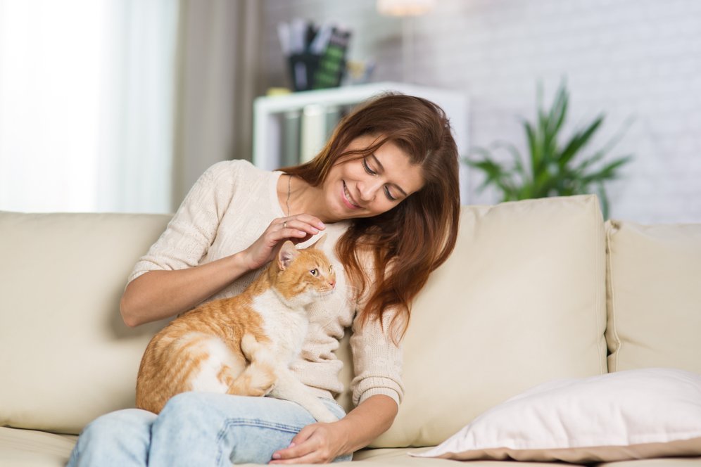 Tahukah Kamu Cara Kucing Ngomong Sama Manusia Beda dengan Sesamanya?