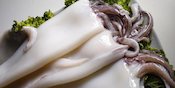 Lezat, Mudah Dibuat Pula: Inilah 3 Resep Hidangan Berbahan Cumi-Cumi Lezat, Mudah Dibuat Pula: Inilah 3 Resep Hidangan Berbahan Cumi-Cumi