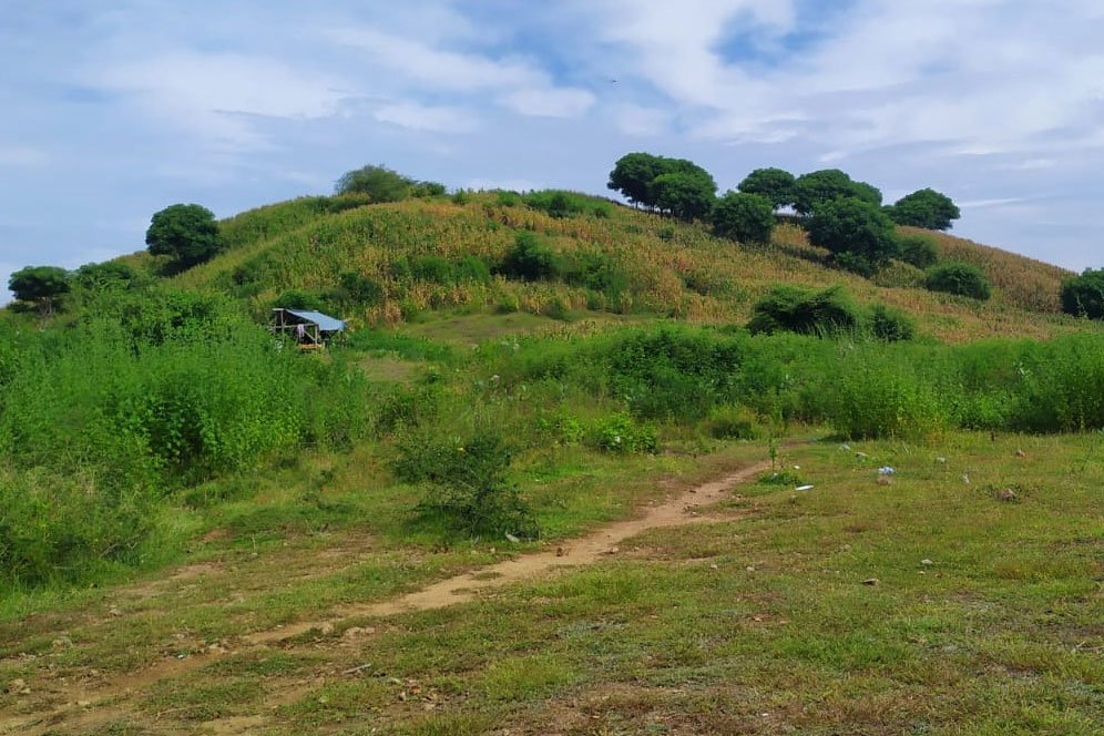 Mengintip Bukit Pongos, Lokasi Alternatif Warga Lokal Nonton MotoGP Mandalika Secara Gratis Mengintip Bukit Pongos, Lokasi Alternatif Warga Lokal Nonton MotoGP Mandalika Secara Gratis