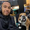 Mengenal Roscoe, Anjing Vegan Milik Lewis Hamilton yang Jadi Model dan Digaji Selangit