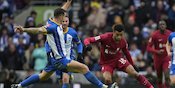 Man of the Match Brighton vs Liverpool: Lewis Dunk Man of the Match Brighton vs Liverpool: Lewis Dunk