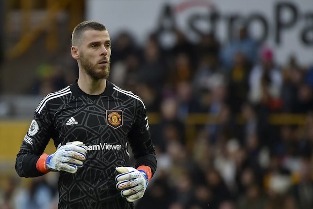 David de Gea Fantastis