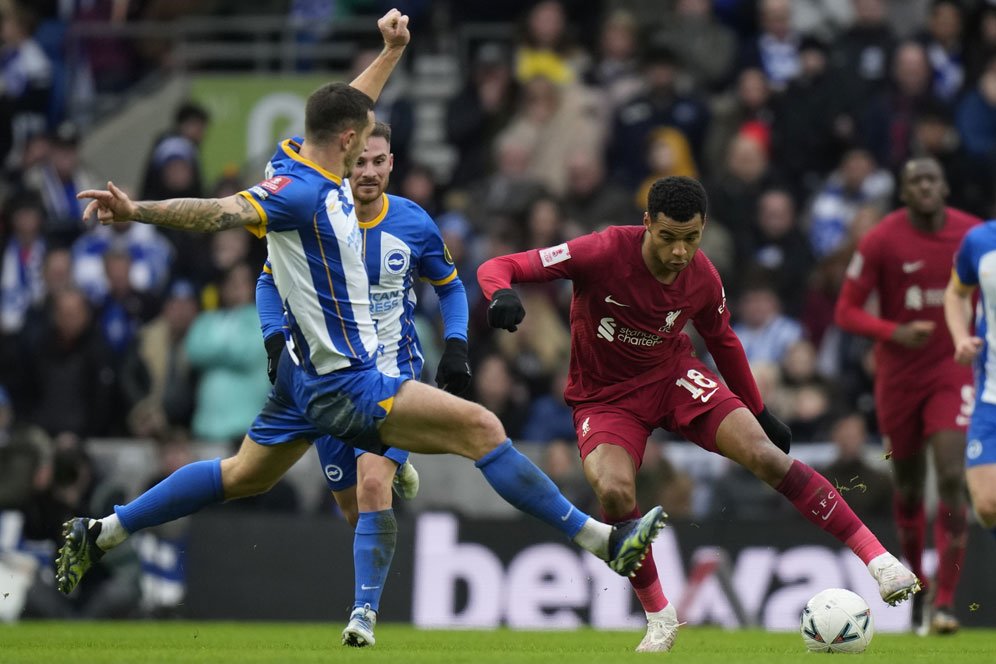 Man of the Match Brighton vs Liverpool: Lewis Dunk Man of the Match Brighton vs Liverpool: Lewis Dunk