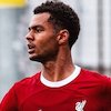 Pengakuan Blak-blakan Cody Gakpo: Nyaris ke MU sebelum Gabung Liverpool!