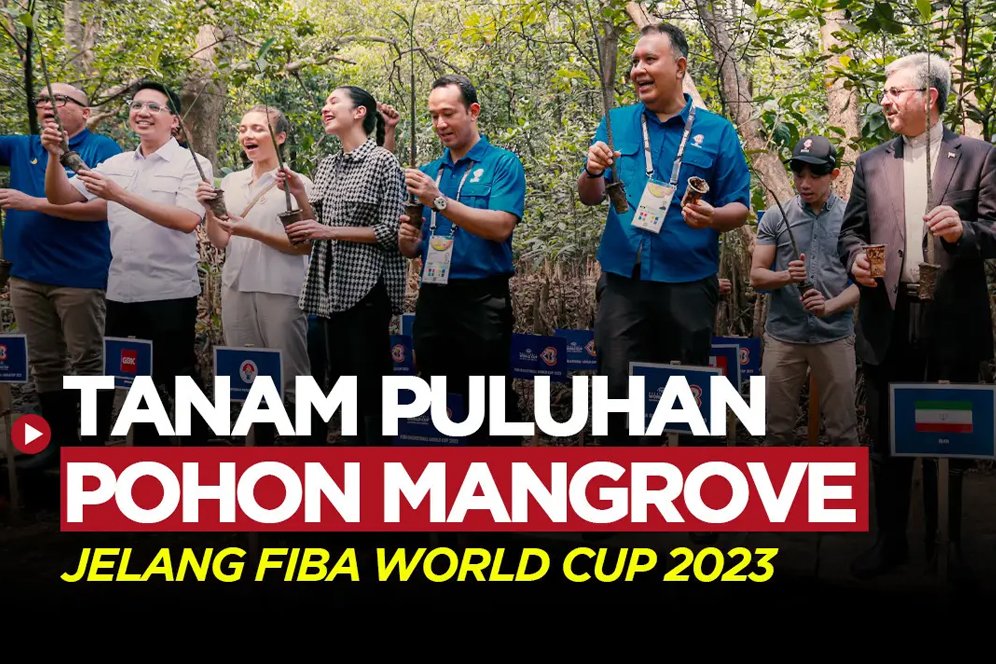 Panpel FIBA World Cup 2023 Tanam Puluhan Mangrove Jelang Jelang Piala Dunia Basket