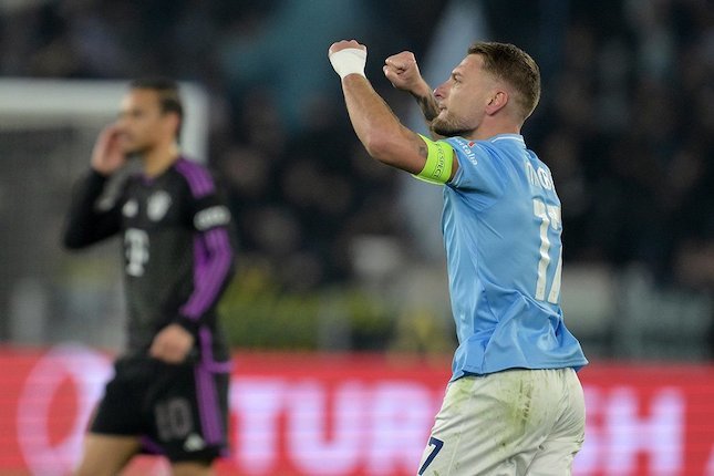 Melihat Immobile Tajam Lagi