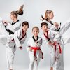 Karate: Sejarah, Teknik Dasar, dan Urutan Sabuk