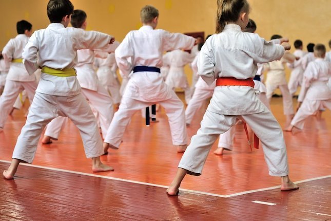 Teknik Dasar Taekwondo