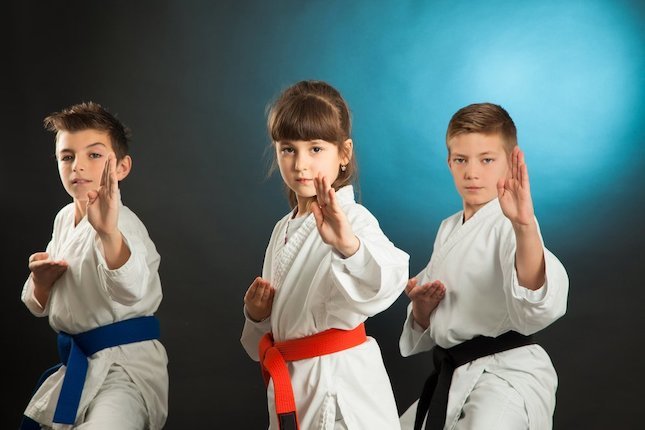 Sejarah Karate di Indonesia