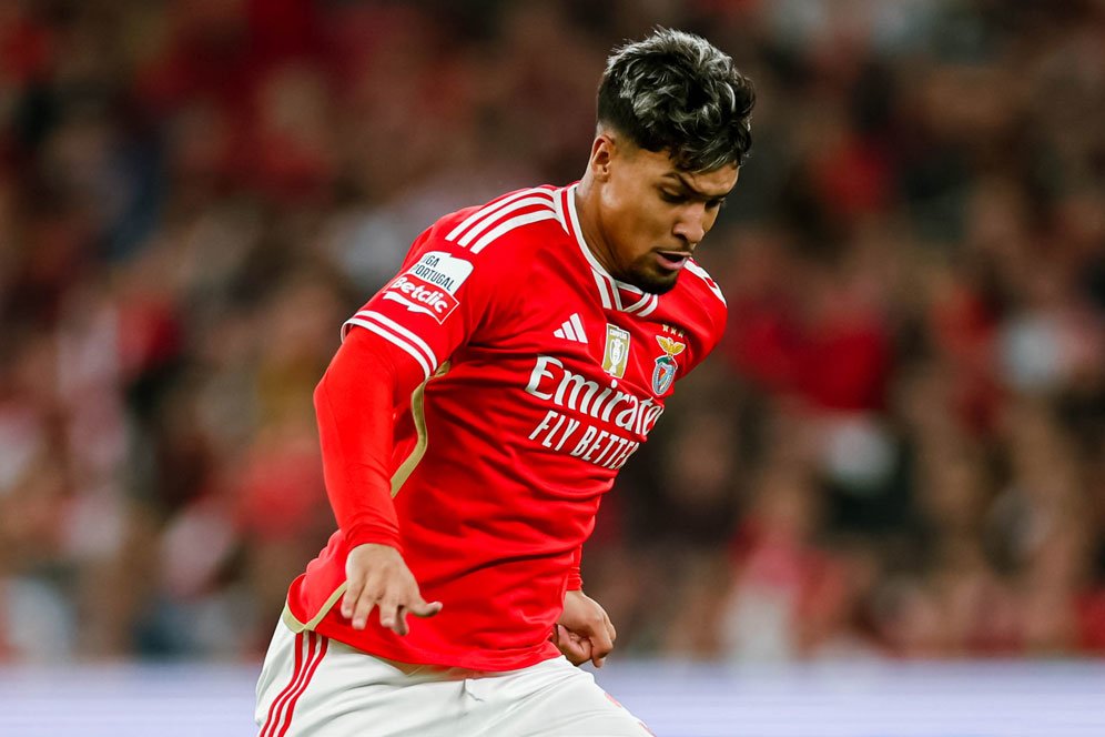 Arsenal Kepincut Bomber Muda Benfica Ini Arsenal Kepincut Bomber Muda Benfica Ini