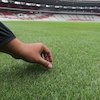 Jelang Indonesia vs Jepang: CCTV dan VAR Sudah Ready, Bagaimana Kondisi Rumput GBK? Jelang Indonesia vs Jepang: CCTV dan VAR Sudah Ready, Bagaimana Kondisi Rumput GBK?