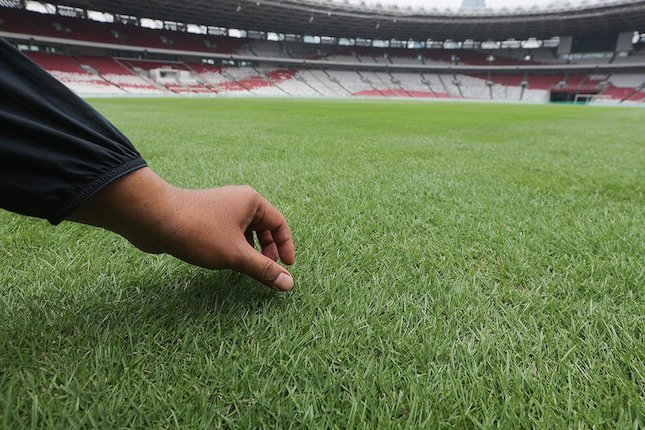 Rumput GBK Tak Ideal Justru jadi Tantangan