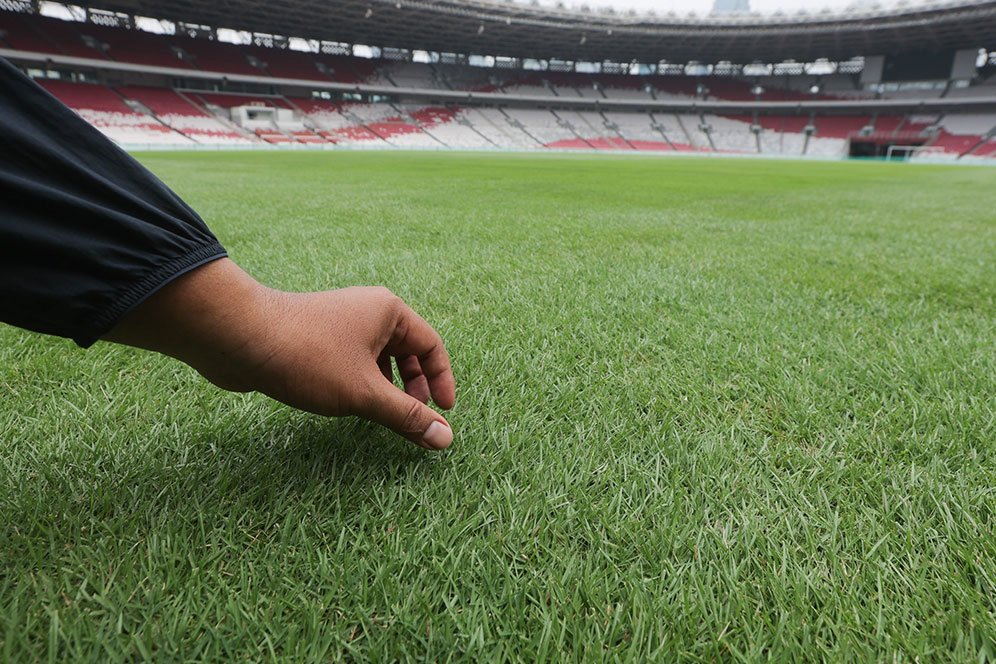 Jelang Indonesia vs Jepang: CCTV dan VAR Sudah Ready, Bagaimana Kondisi Rumput GBK? Jelang Indonesia vs Jepang: CCTV dan VAR Sudah Ready, Bagaimana Kondisi Rumput GBK?