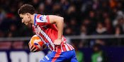 Hasil Atletico Madrid vs Rayo Vallecano: Drama 5 Gol hingga Menit ke-88, Hattrick Julian Alvarez jadi Kunci Hasil Atletico Madrid vs Rayo Vallecano: Drama 5 Gol hingga Menit ke-88, Hattrick Julian Alvarez jadi Kunci