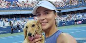 Momen Menggemaskan Anak Anjing Anna Kalinskaya Serbu Lapangan Usai Kemenangan atas Emma Raducanu Momen Menggemaskan Anak Anjing Anna Kalinskaya Serbu Lapangan Usai Kemenangan atas Emma Raducanu