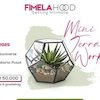 Fimelahood Getting Intimate: Mini Terrarium Workshop, Cocok untuk Recharge Energi