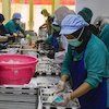 Mengulik Standar Keamanan Pangan Dapur Komersial, dari Sanitasi hingga Biaya HACCP Mengulik Standar Keamanan Pangan Dapur Komersial, dari Sanitasi hingga Biaya HACCP