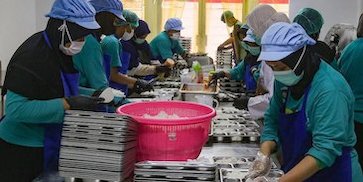 Mengulik Standar Keamanan Pangan Dapur Komersial, dari Sanitasi hingga Biaya HACCP Mengulik Standar Keamanan Pangan Dapur Komersial, dari Sanitasi hingga Biaya HACCP