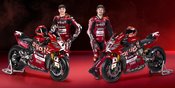 Pabrikan Motor dengan Gelar Juara WorldSBK Terbanyak, Akankah Ducati Tambah Koleksi pada 2026? Pabrikan Motor dengan Gelar Juara WorldSBK Terbanyak, Akankah Ducati Tambah Koleksi pada 2026?