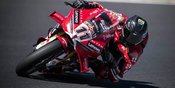 Hasil Race 1 WorldSBK Australia 2026: Ducati Sapu Bersih 3 Podium, Nicolo Bulega Menang