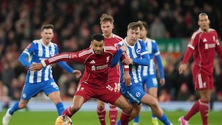 Prediksi Brighton vs Liverpool 21 Maret 2026
