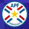 Profil Timnas Paraguay di Piala Dunia 2026: Kuda Hitam yang Siap Kejutkan Negeri Paman Sam