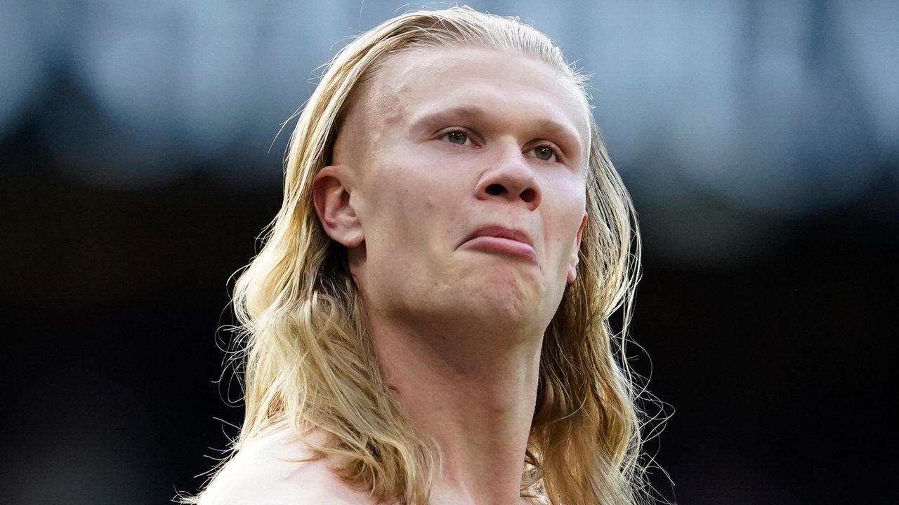 Erling Haaland sang Animal