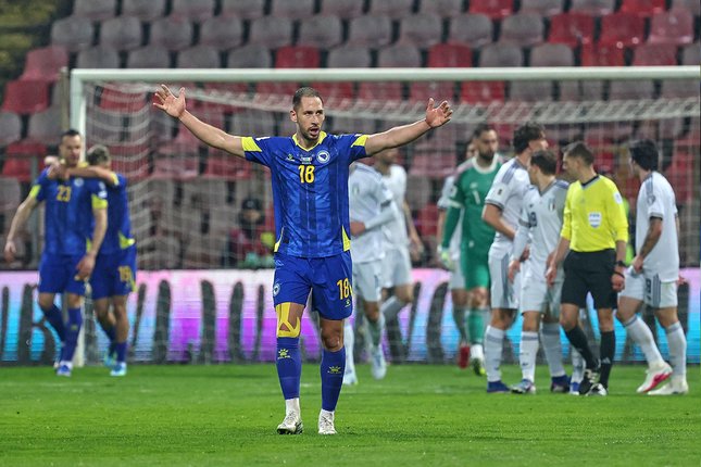Daftar Pemain Bosnia dan Herzegovina