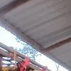 Dari PHK ke Peternak Telur Sukses: Jejak Langkah Cipto Mulyo Bersama KUR BRI